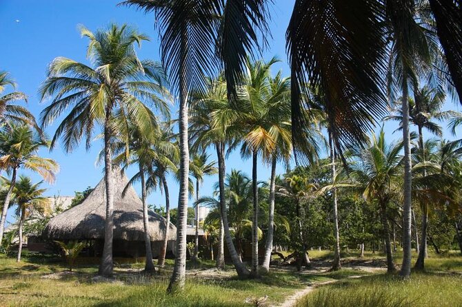 5 islands tour to rosario Islands with snorkeling activity! - Five useful things to know before booking