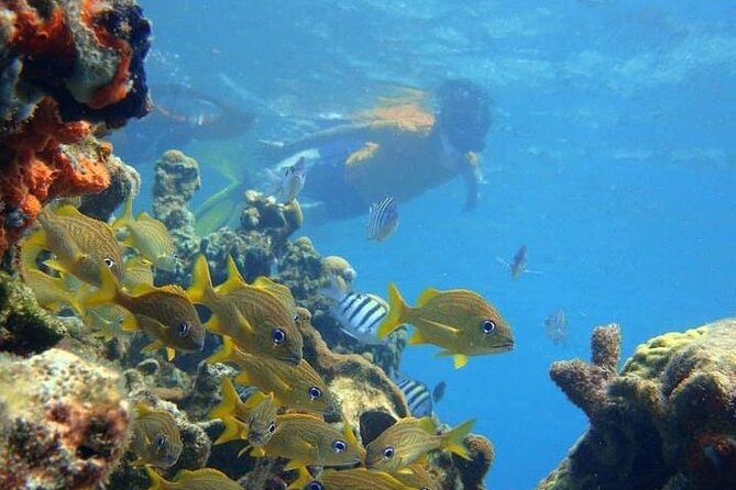 5 islands tour to rosario Islands with snorkeling activity! - Playa Blanca and the late lunch question