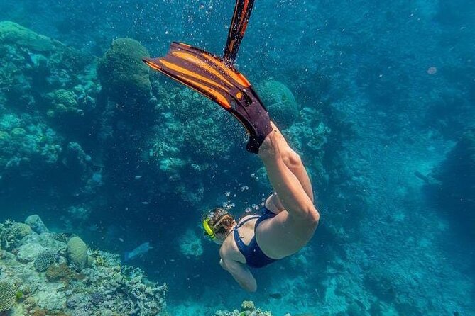 5 islands tour to rosario Islands with snorkeling activity! - Starting at Muelle de los Pegasos