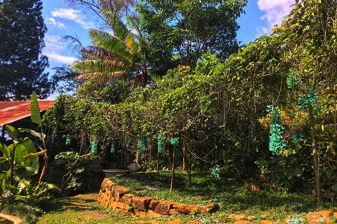 Admission to Andoke Butterfly Center in Cali with Release Ritual - Why Andoke works as a break from Cali