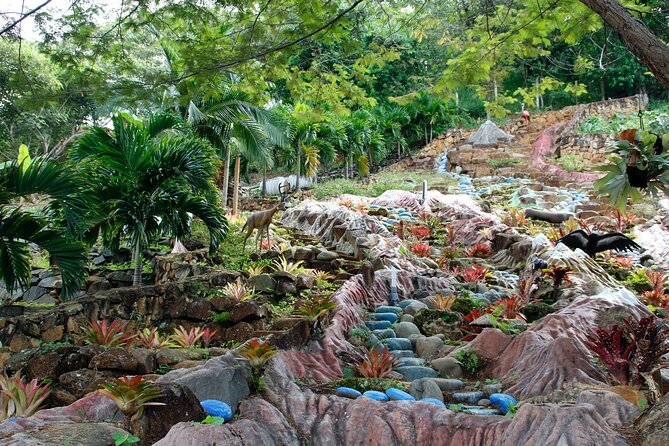 Admission to Andoke Butterfly Center in Cali with Release Ritual - The release ritual and what it adds