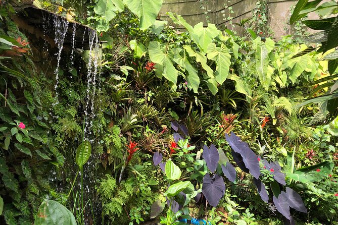 Admission to Andoke Butterfly Center in Cali with Release Ritual - Finding the center on the road to Cristo Rey
