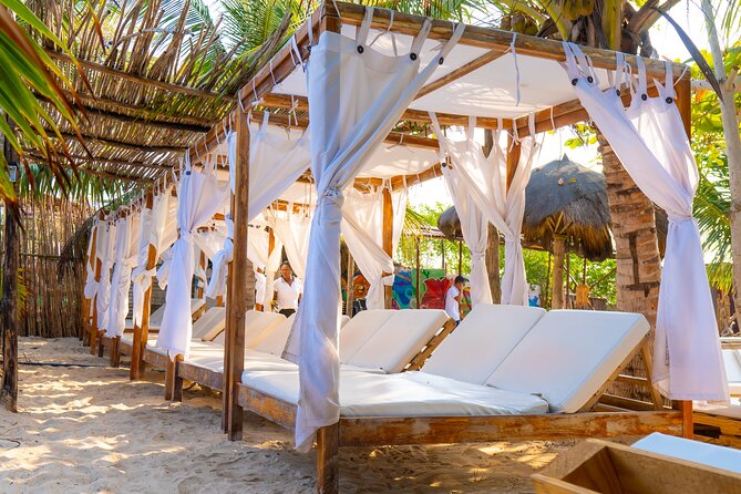 Adventure full day Isla Barú + Mangroves + Snorkel + bioluminescent plankton - What the mangrove boat ride actually offers