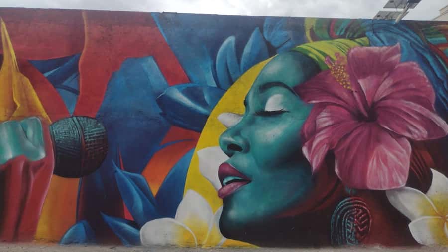 Afro Walking Tour. The colors of Cali. - Salsa as history, not just nightlife
