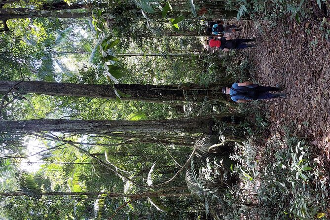 Amazon Unveiled: Private Ancestral Immersion & Conscious Luxury - Crossing the Amazon into Peru
