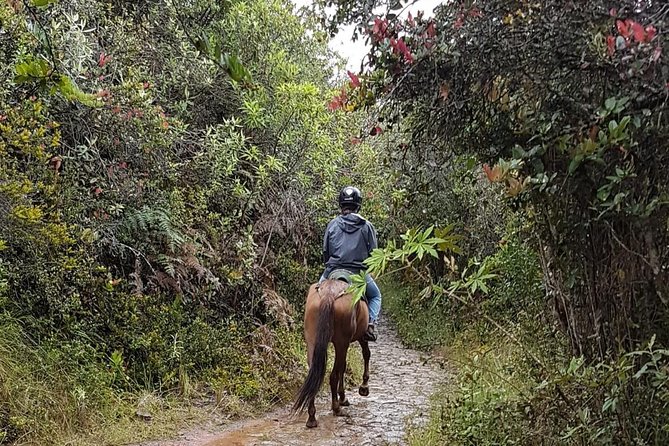 Andes Mountains Horseback Riding - Half Day - Leaving Bogotá for La Calera