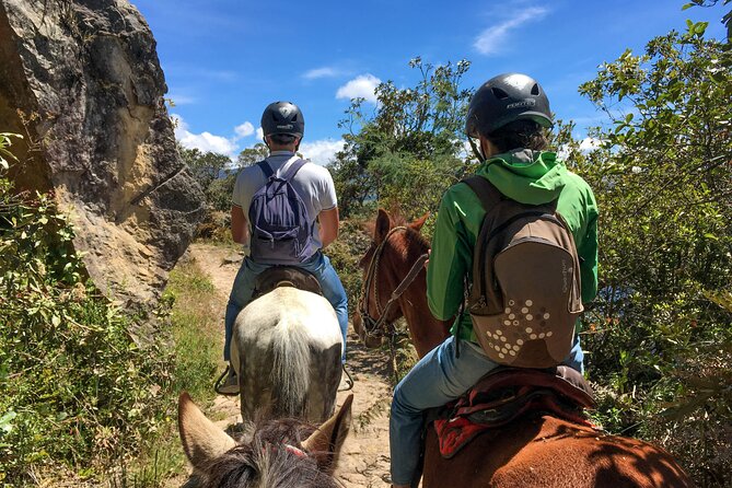 Andes Mountains Horseback Riding - Half Day - Is $90 a fair price?