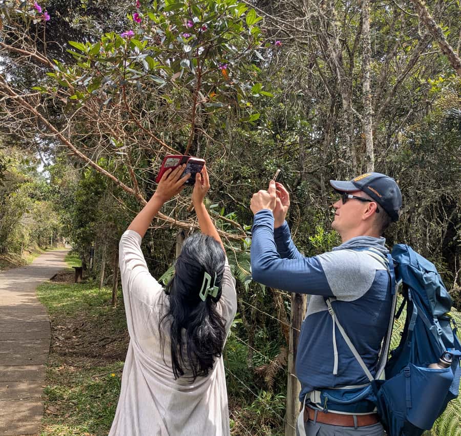 Arvi Park Walking tour and city views from Metrocable. - Key points to know before you go