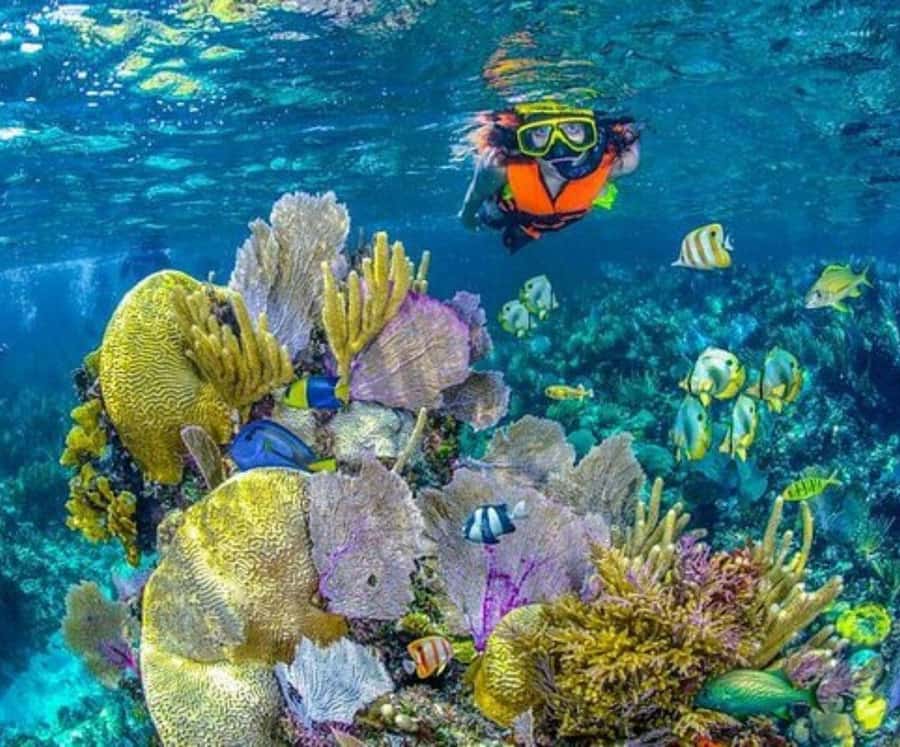 Barú: Club Freedom Beach with Mangrove and Snorkel - Final call: book it for variety, not perfect polish