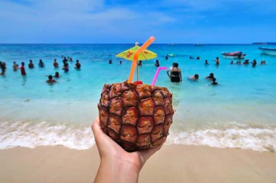 BARÚ: Enjoy the magic of Baru choosing best option for you - Option 2: Premium land transport with beach facilities