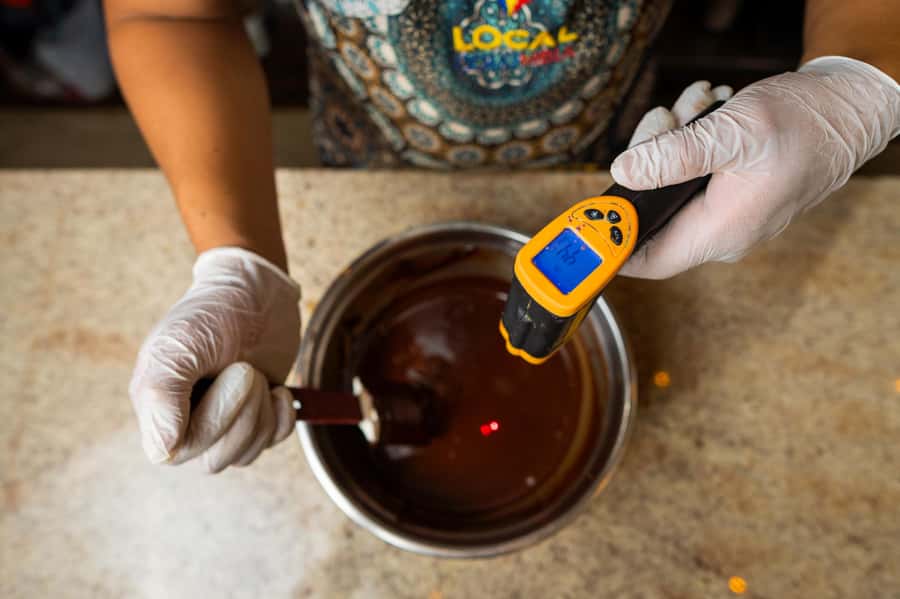 Bean to Bar: Cocoa and Chocolate Workshop - From cacao bean to chocolate flavor