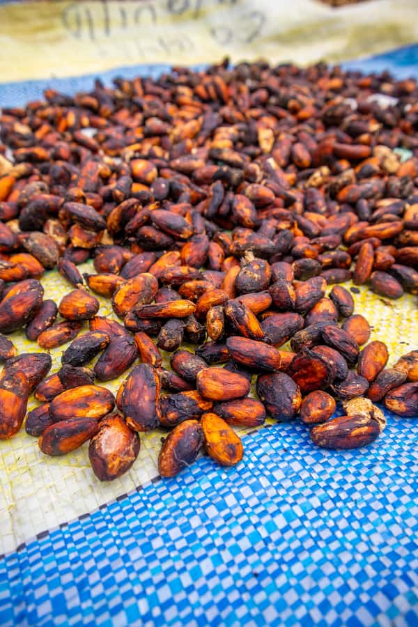 Bean to Bar: Cocoa and Chocolate Workshop - What makes the private format useful