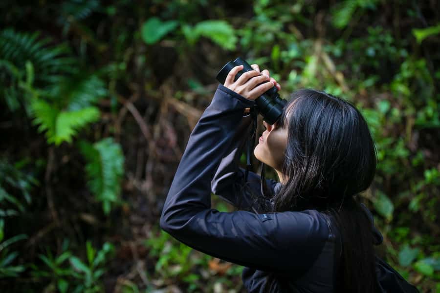 Birding Medellin with expert bird-watcher (Private) - Six Hours at Parque Ecológico La Romera