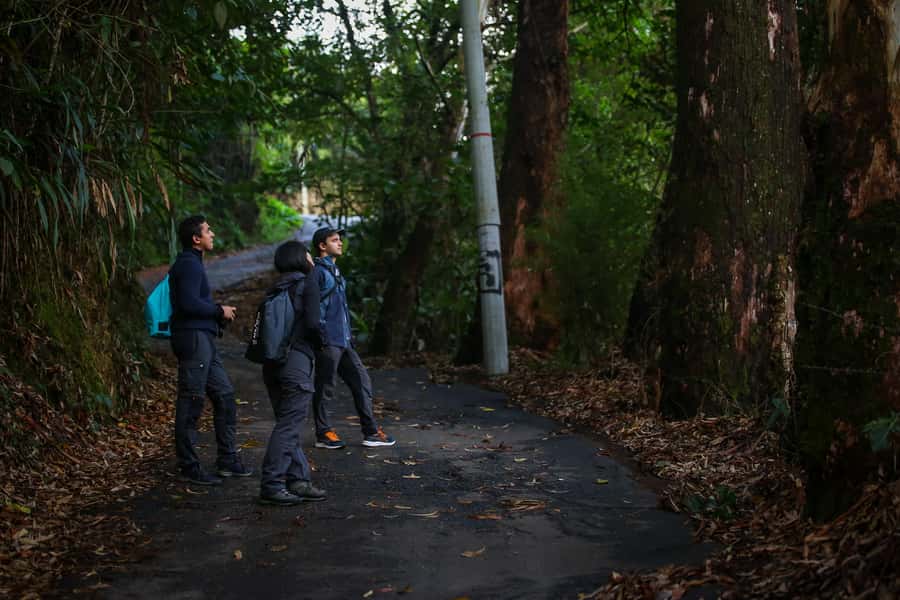 Birding Medellin with expert bird-watcher (Private) - Breakfast, Coffee, and the Small Comforts
