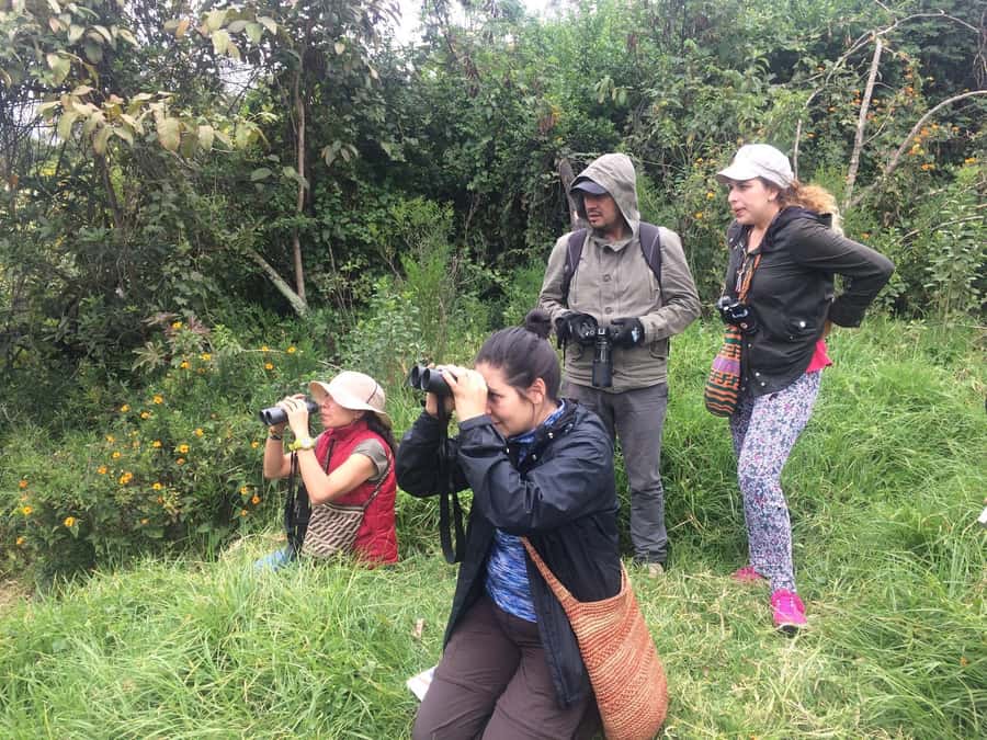 Birdwatching Day Tour at Chicaque Natural Park - Leaving Bogotá for a quieter forest