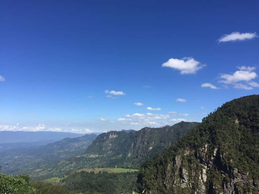 Birdwatching Day Tour at Chicaque Natural Park - Who will get the most from this day