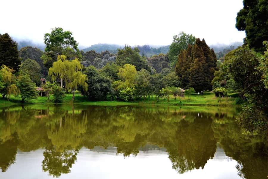BOGOTA: Ancestral Exploration, Tour Facatativá, Piedras del Tunjo and Zipacón - Why this Bogotá day trip is worth considering