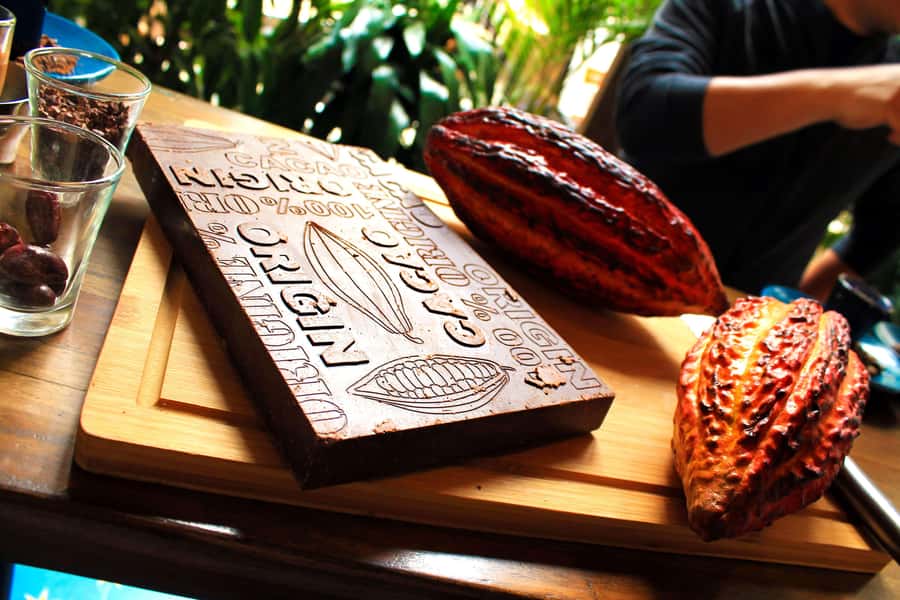 Bogotá: Candelaria Tour with Cacao and Coffee Workshop - Useful Planning Details for the Four Hours