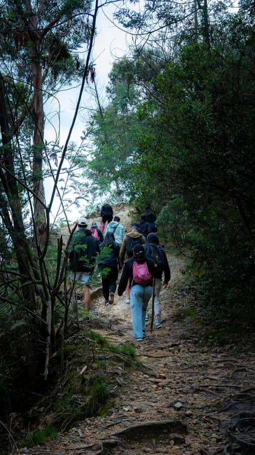 Bogota: East Hills Mountain Hike - What the $80 price really covers