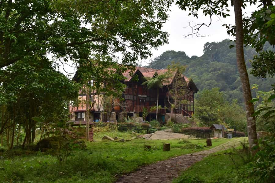 Bogota: Explore the forest and bird watching at Chicaque Natural Park - Why This Chicaque Experience Is Worth Considering