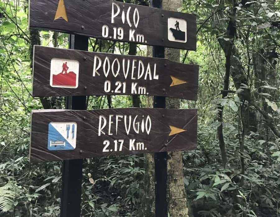 Bogota: Explore the forest and bird watching at Chicaque Natural Park - Who Will Enjoy This Day Most