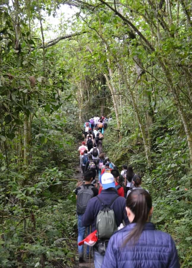 Bogota: Explore the forest and bird watching at Chicaque Natural Park - Leaving Bogotá for Chicaque’s Cloud Forest