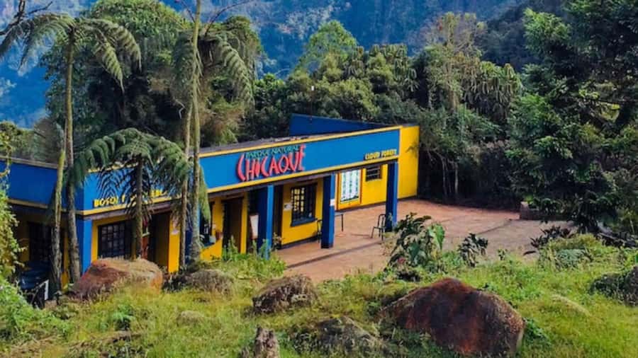 Bogota: Explore the forest and bird watching at Chicaque Natural Park - Walking Among Orchids, Birds, and Small Mammals