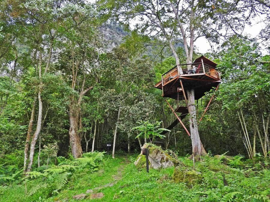 Bogota: Explore the forest and bird watching at Chicaque Natural Park - The Moderate Hike to Chicaque Waterfall