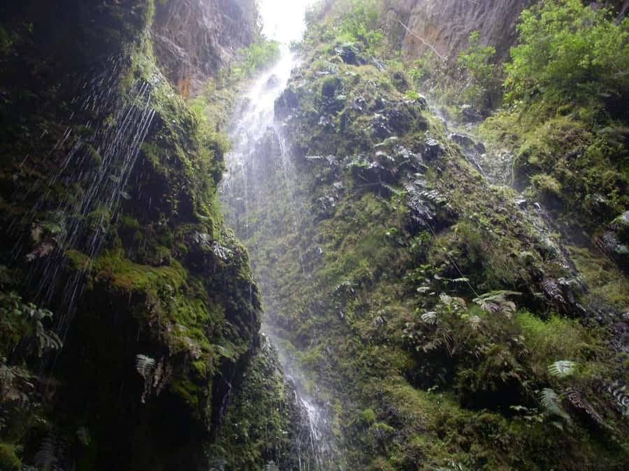 Bogota: Explore the forest and bird watching at Chicaque Natural Park - Lunch in the Middle of the Park