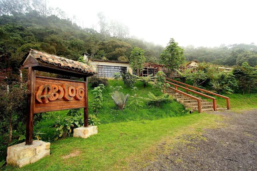 Bogota: Explore the forest and bird watching at Chicaque Natural Park - Free Time for Birds and Photos