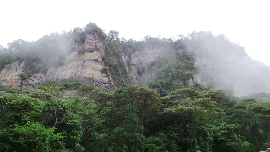 Bogota: Explore the forest and bird watching at Chicaque Natural Park - What the $127 Price Covers
