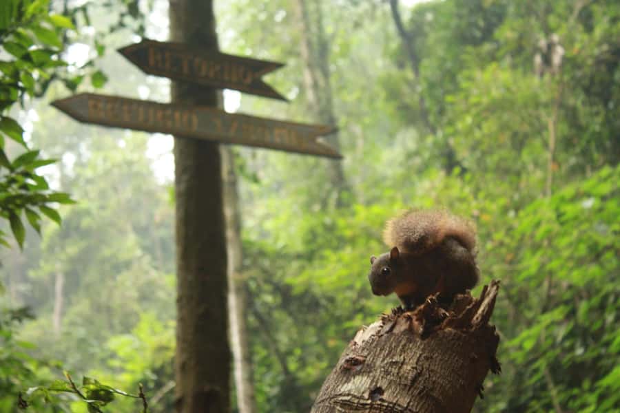 Bogota: Explore the forest and bird watching at Chicaque Natural Park - Getting Oriented at the Park Entrance