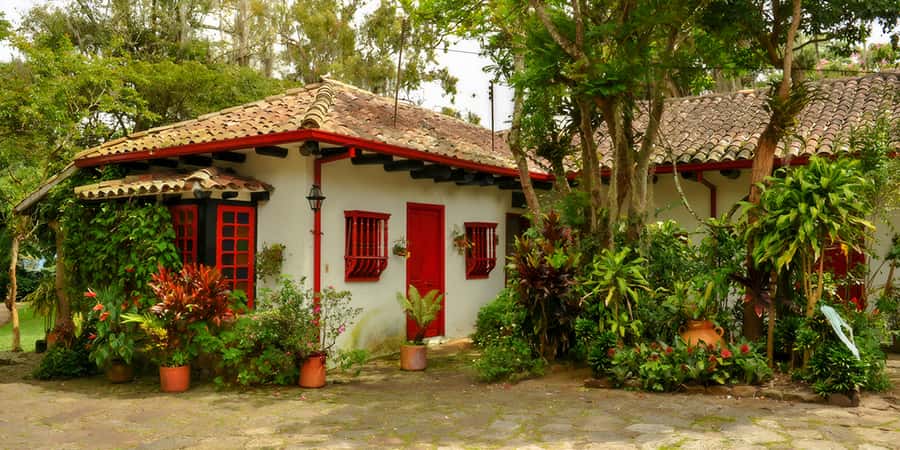 Bogotá: Guided Coffee Tour with Lunch, and Pickup & Drop-Off - Why this coffee trip is different from a Bogotá tasting