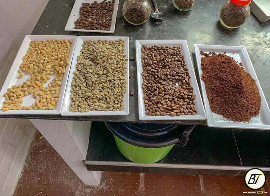 Bogotá: Guided Coffee Tour with Lunch, and Pickup & Drop-Off - Arriving at the tropical garden