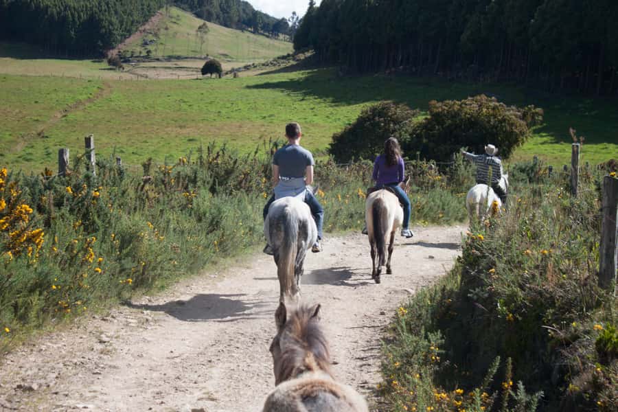 Bogota: Horseback Riding Tour - The one-hour ride through changing highland zones