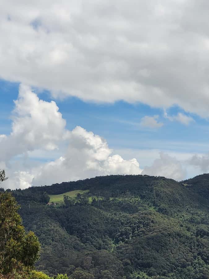 Bogota: Private Tour to Monserrate and Guadalupe - Should you book the Monserrate and Guadalupe tour?