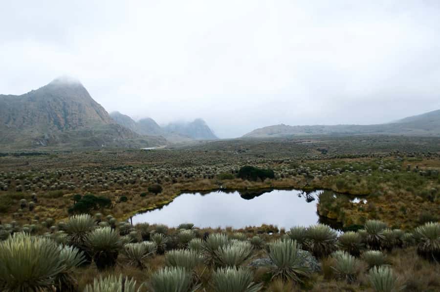 Bogotá: Sumapaz National Park Hike Tour - Leaving Bogotá for Sumapaz’s high plateau