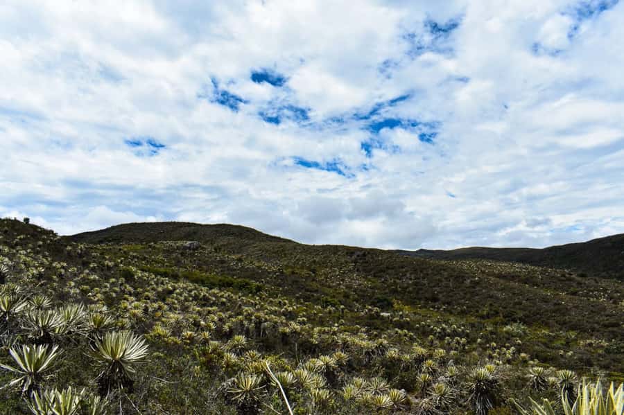 Bogotá: Sumapaz National Park Hike Tour - What the $136 price really covers
