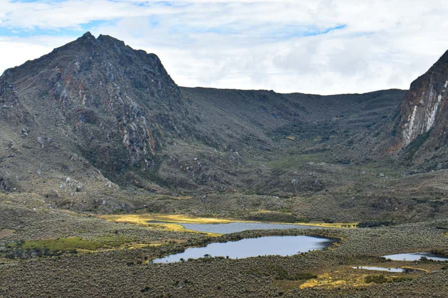 Bogotá: Sumapaz National Park Hike Tour - Should you book this Bogotá hiking tour?