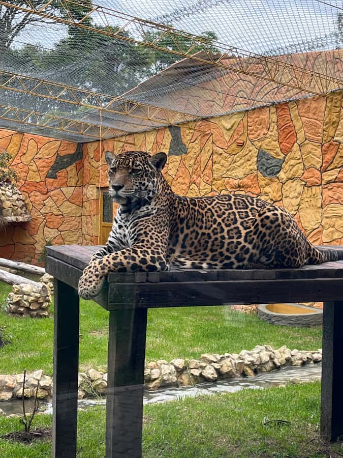 BOGOTA: Tour of Jaime Duque Park, Zoo, and Aerospace Museum - Is $117 a Fair Price?