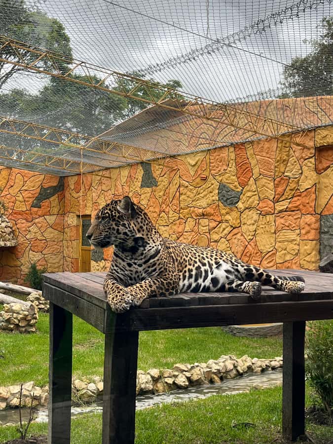BOGOTA: Tour of Jaime Duque Park, Zoo, and Aerospace Museum - The Aerospace Museum and an Important Caveat