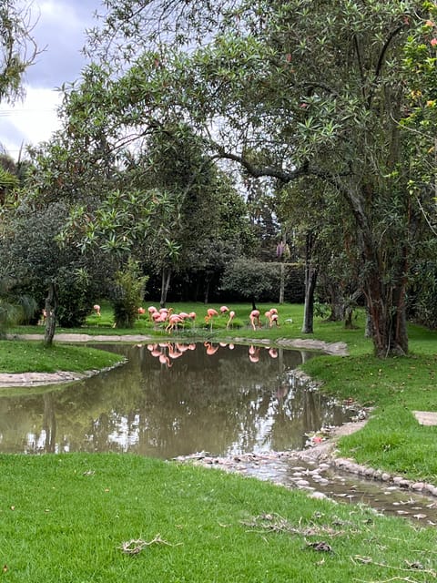 BOGOTA: Tour of Jaime Duque Park, Zoo, and Aerospace Museum - A Quiet Pause at Los Angeles Fountain Garden