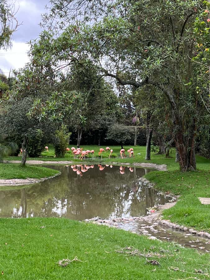 BOGOTA: Tour of Jaime Duque Park, Zoo, and Aerospace Museum - Tocancipá Lunch and the Shape of the Day