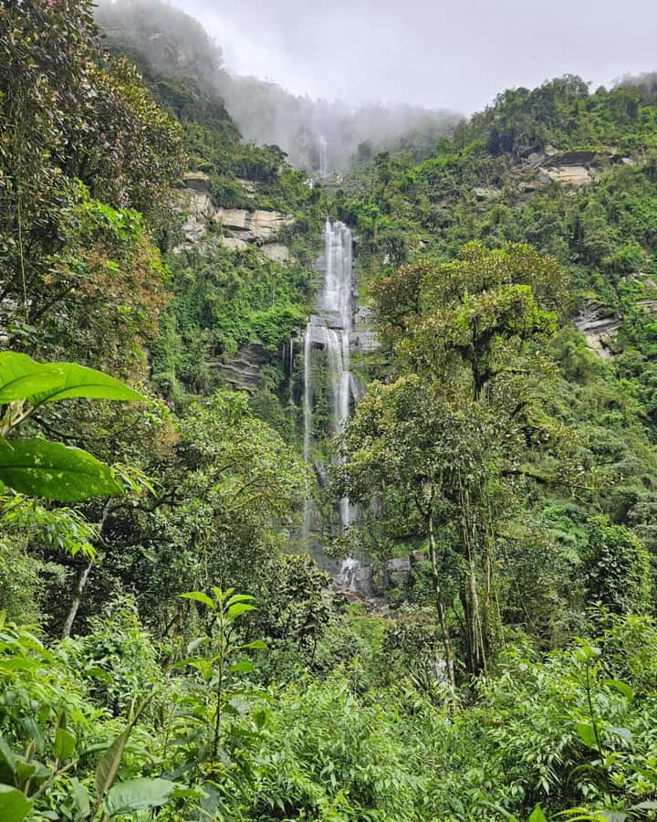 Bogotá: Visit Colombia's Highest Waterfalls & Guadalupe Hill - The key points at a glance