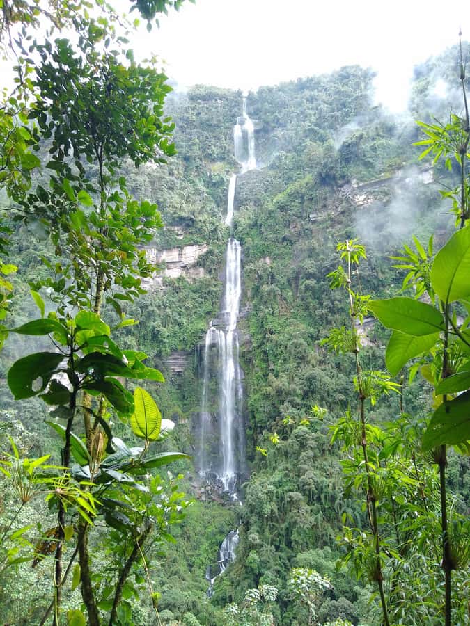 Bogotá: Visit Colombia's Highest Waterfalls & Guadalupe Hill - What the private group adds