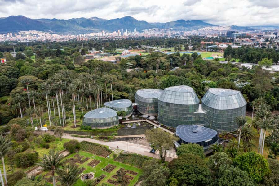 BOGOTA: Visit to the Botanical Garden and Ugly Betty's House - Two and a Half Hours Among Colombian Plants