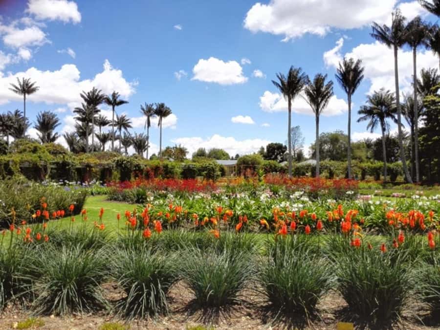 BOGOTA: Visit to the Botanical Garden and Ugly Betty's House - A Garden With a Conservation Message
