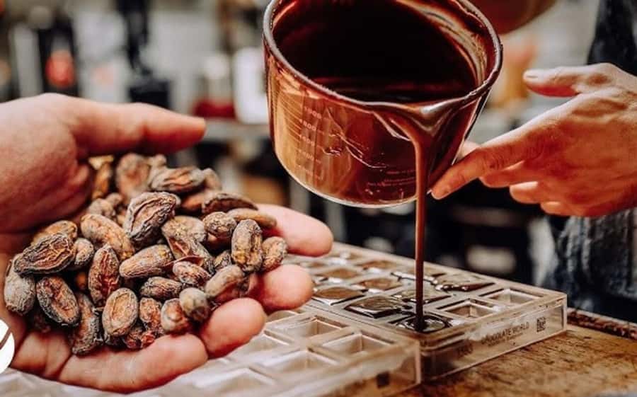 Cacao Experience Tour - Walking through Tayrona territory