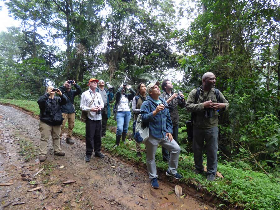 Cali: Bird Watching in The San Antonio Fog Forest - Hummingbirds, plants, and the value of looking closely