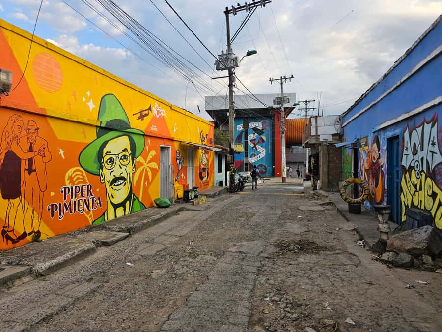 Cali: Comuna 20 Siloé Street Art Tour - Practical preparation for the 2.5-hour walk
